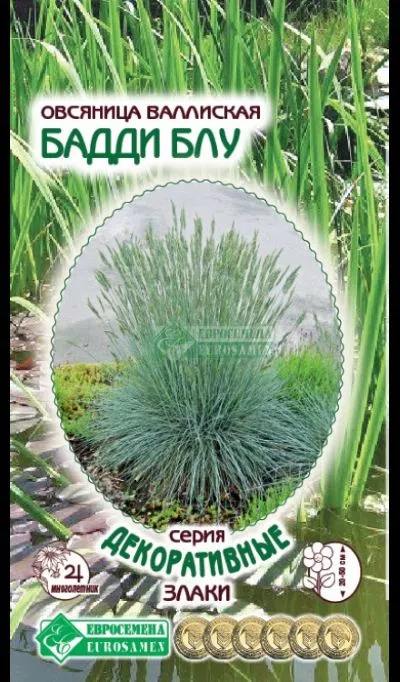 ОсновноеИзображение