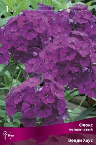 Кореневище Флокс метельчатый Венди Хаус 1шт Поиск 