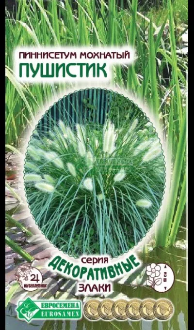 ОсновноеИзображение