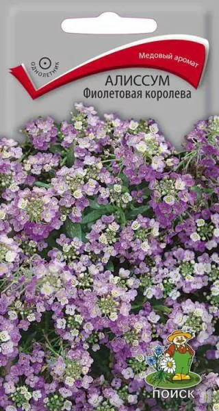 Семена алиссум Фиолетовая королева 0,3г Поиск 