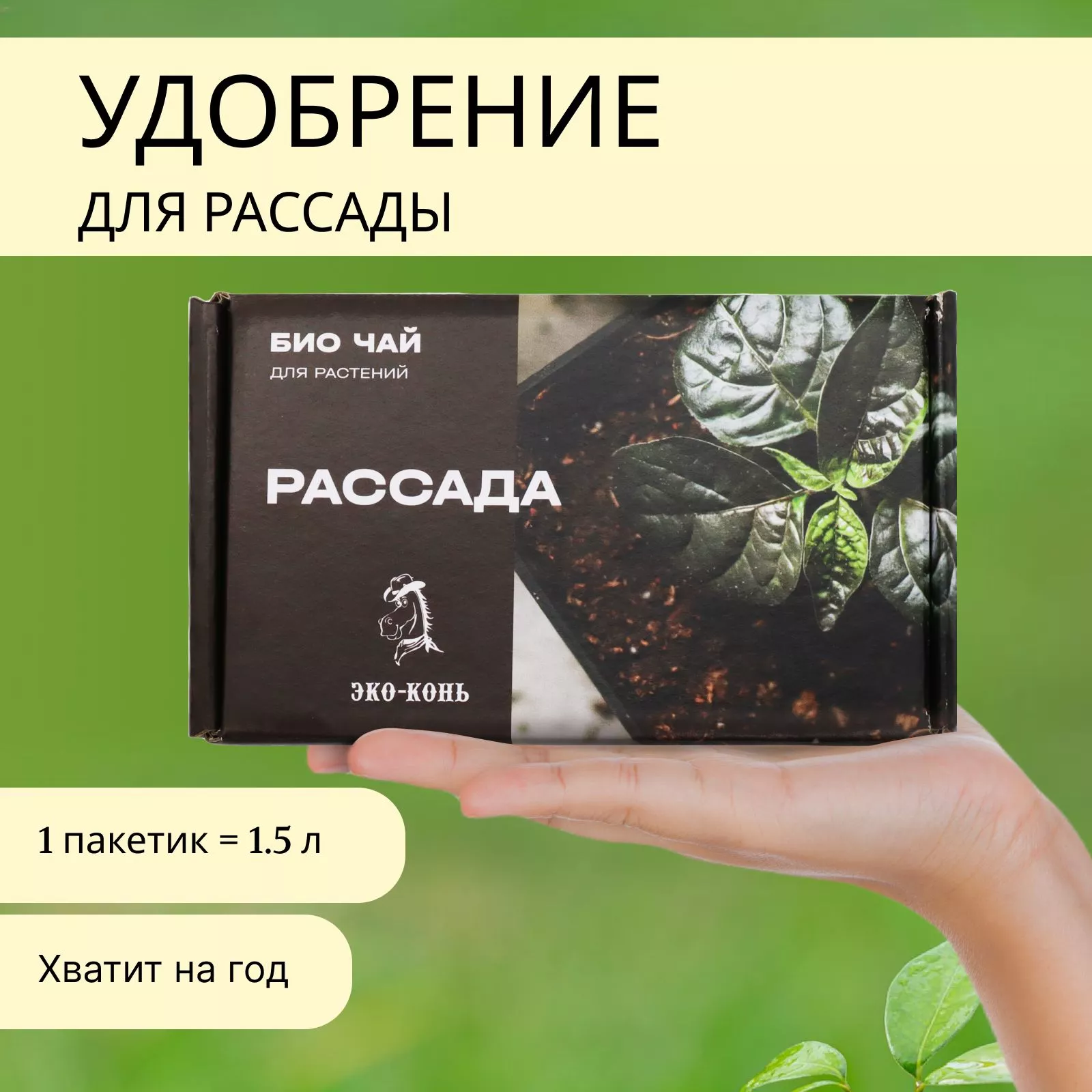 ОсновноеИзображение