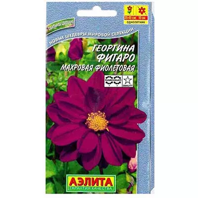 Семена георгина Фигаро фиолетовый махр 7шт Аэлита 