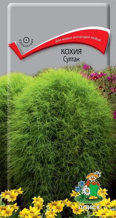 Семена Кохия Султан 0,1г Поиск 