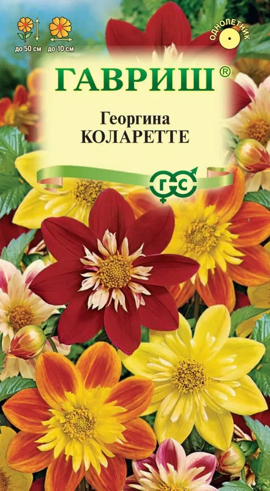 Семена георгина Коларетте 0,2г Гавриш 