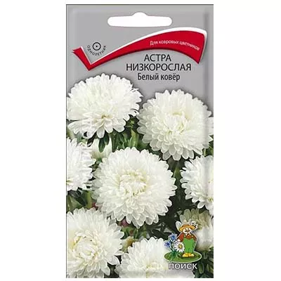 Семена астра низкорослая Белый ковер 0,2г Поиск 