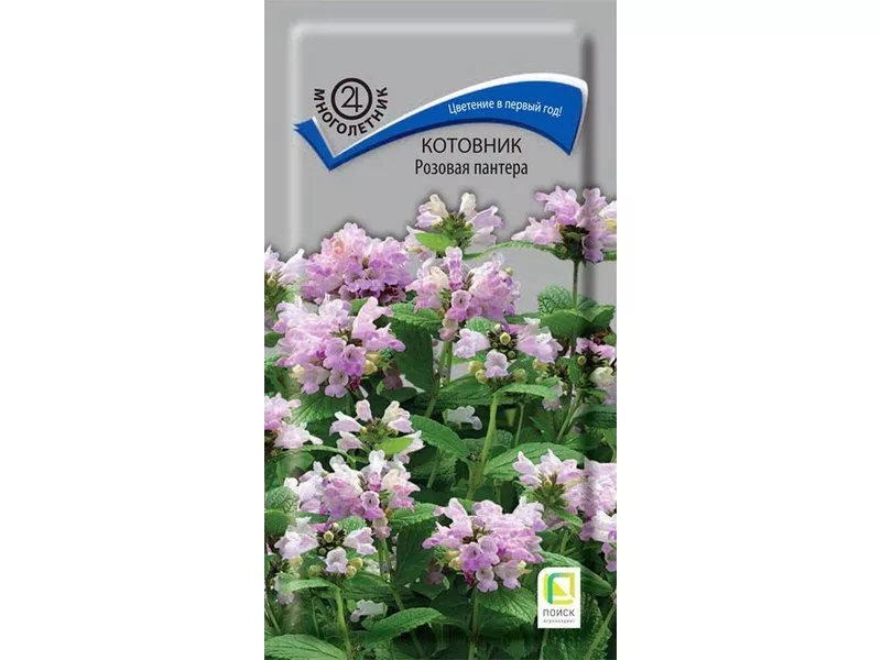 Основное изображение