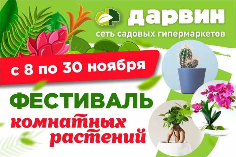 Фестиваль комнатных растений в сети садовых центров «Дарвин»!
