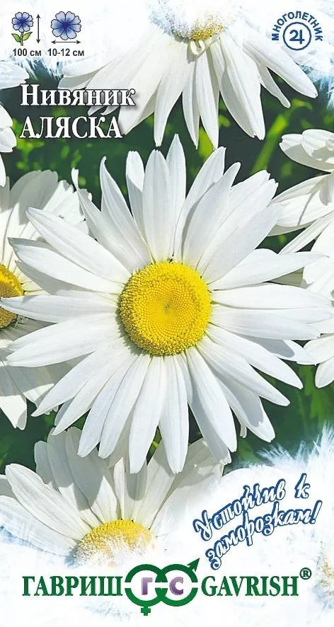 Семена нивяник Аляска 0,05г сер Устойчив к заморозкам, Гавриш 