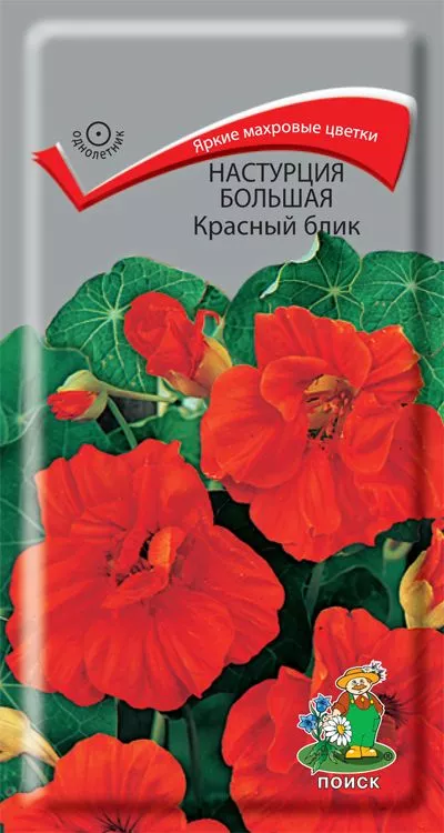 Основное изображение