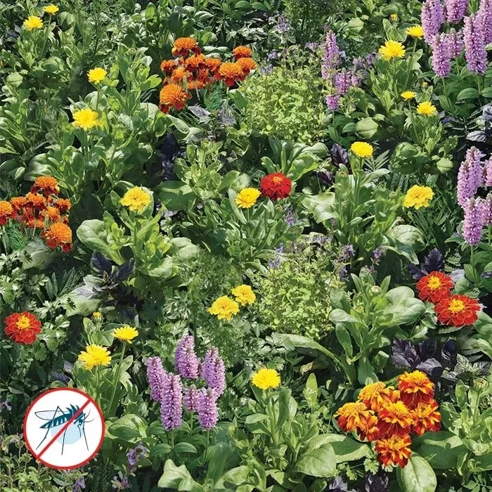 Семена Газон цветущий Реппеленты для сада, 30г, НК 