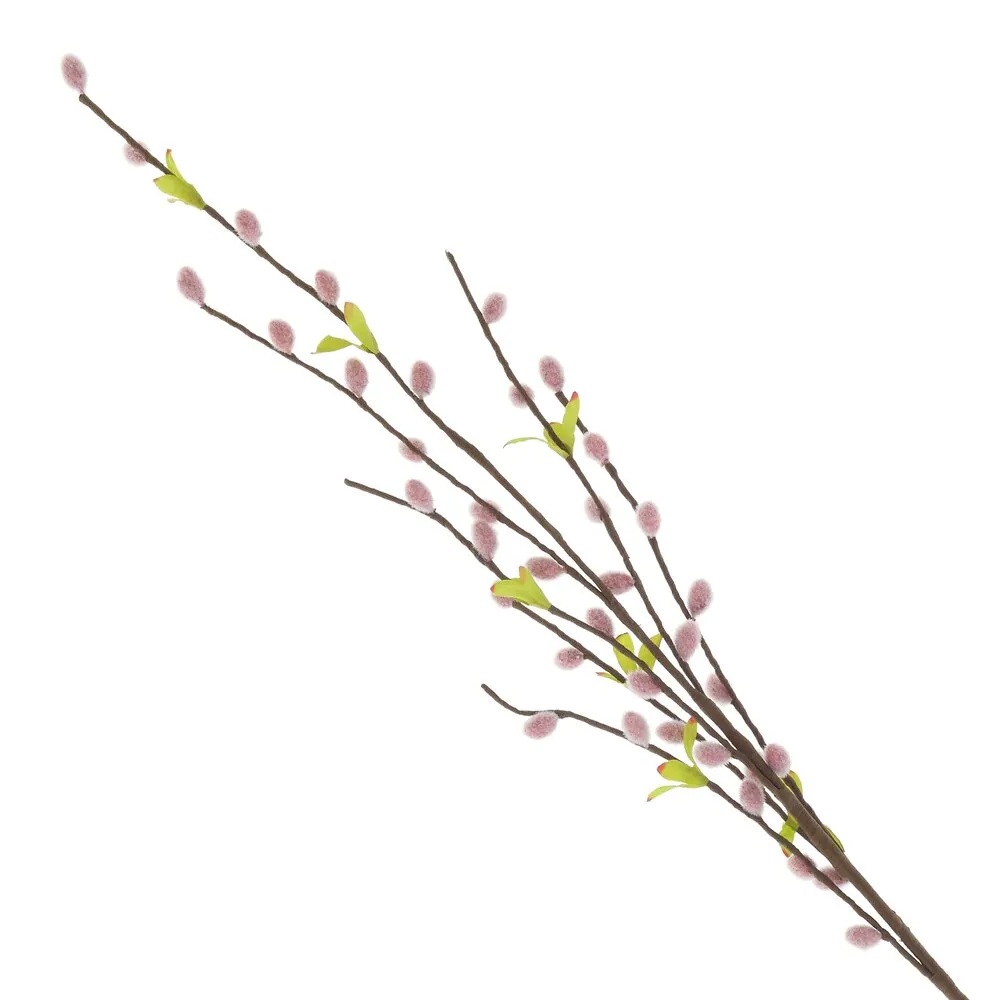 ОсновноеИзображение