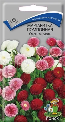 Семена маргаритка Помпонная смесь окрасок 0,05г Поиск 