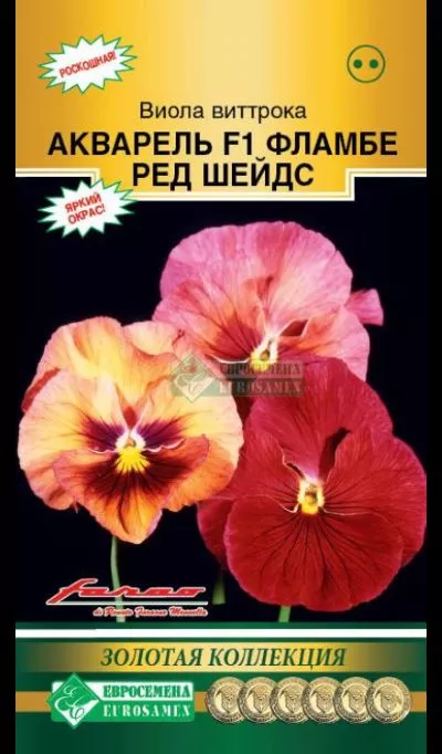 ОсновноеИзображение