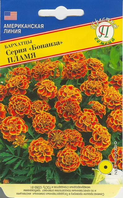 Семена Бархатцы (Тагетес) отклоненные Бонанза Пламя 10шт Престиж 