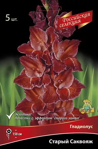 Луковица Гладиолус крупноцветковой Старый саквояж12/14 3 шт Поиск 