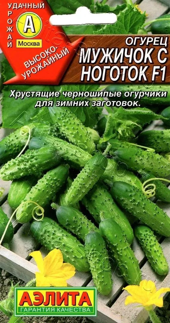 Семена Огурец партенокарпический  Мужичок с ноготок F1 10шт Аэлита 
