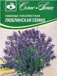 ОсновноеИзображение