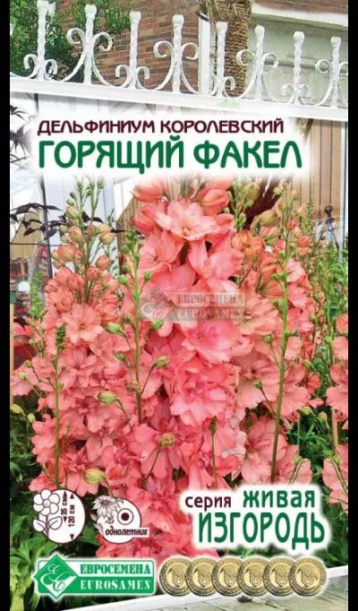 ОсновноеИзображение