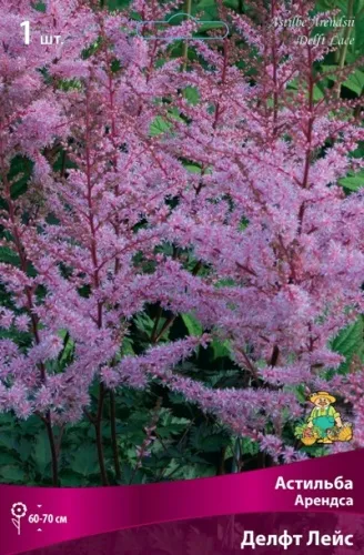 ОсновноеИзображение