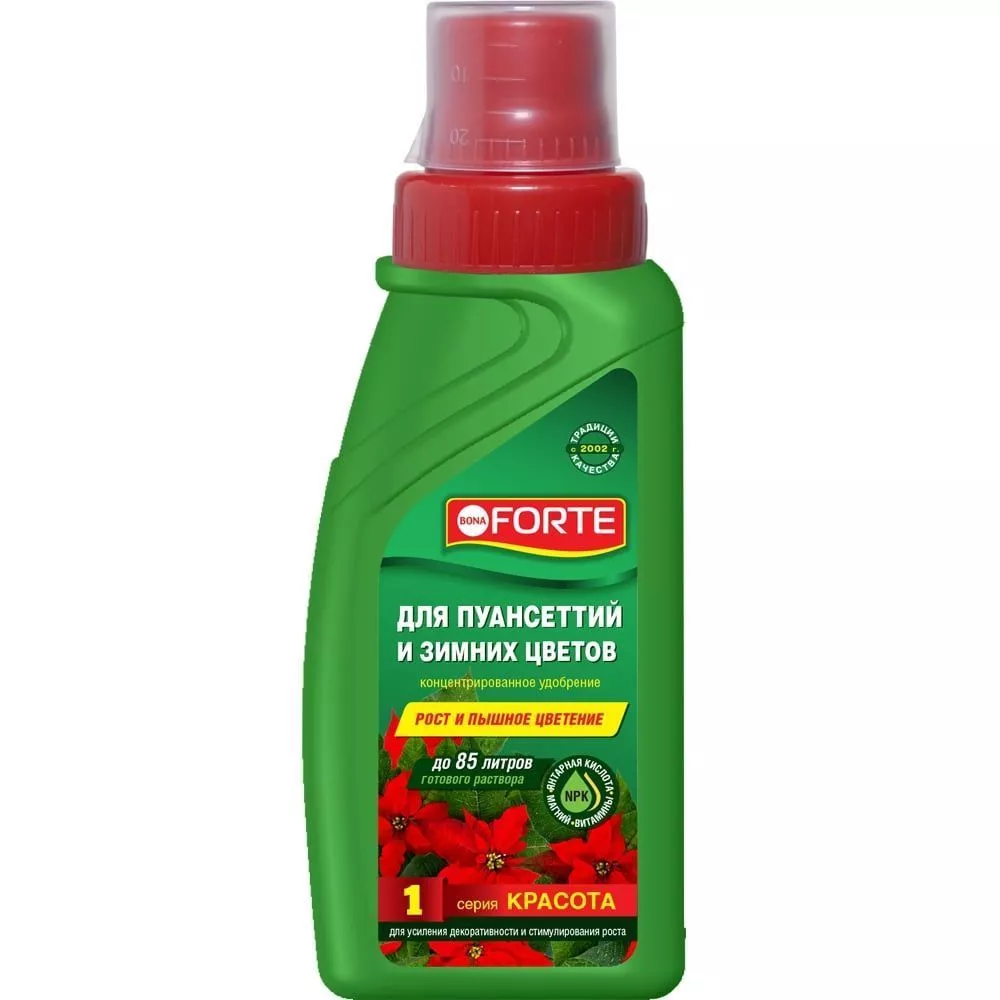 Основное изображение