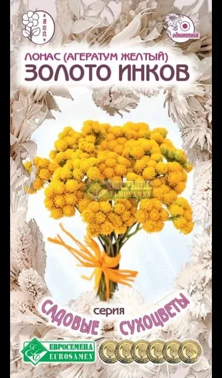 ОсновноеИзображение