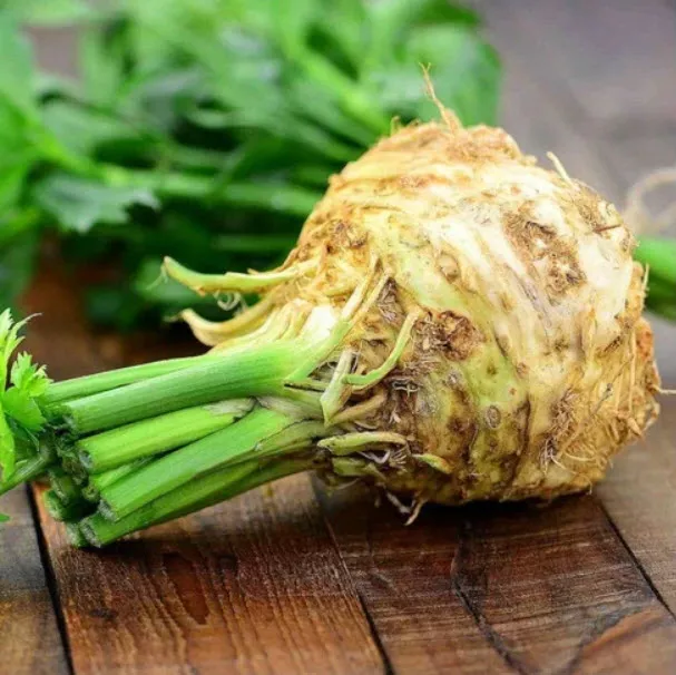 Рассада Сельдерей корневой Силач к6 ХР 