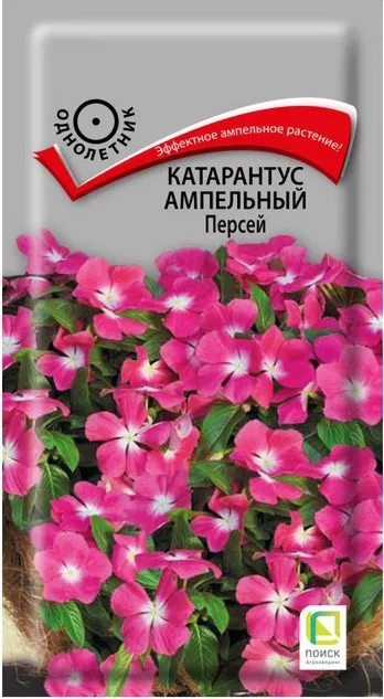 Семена Катарантус ампельный Персей 10 шт  Поиск 