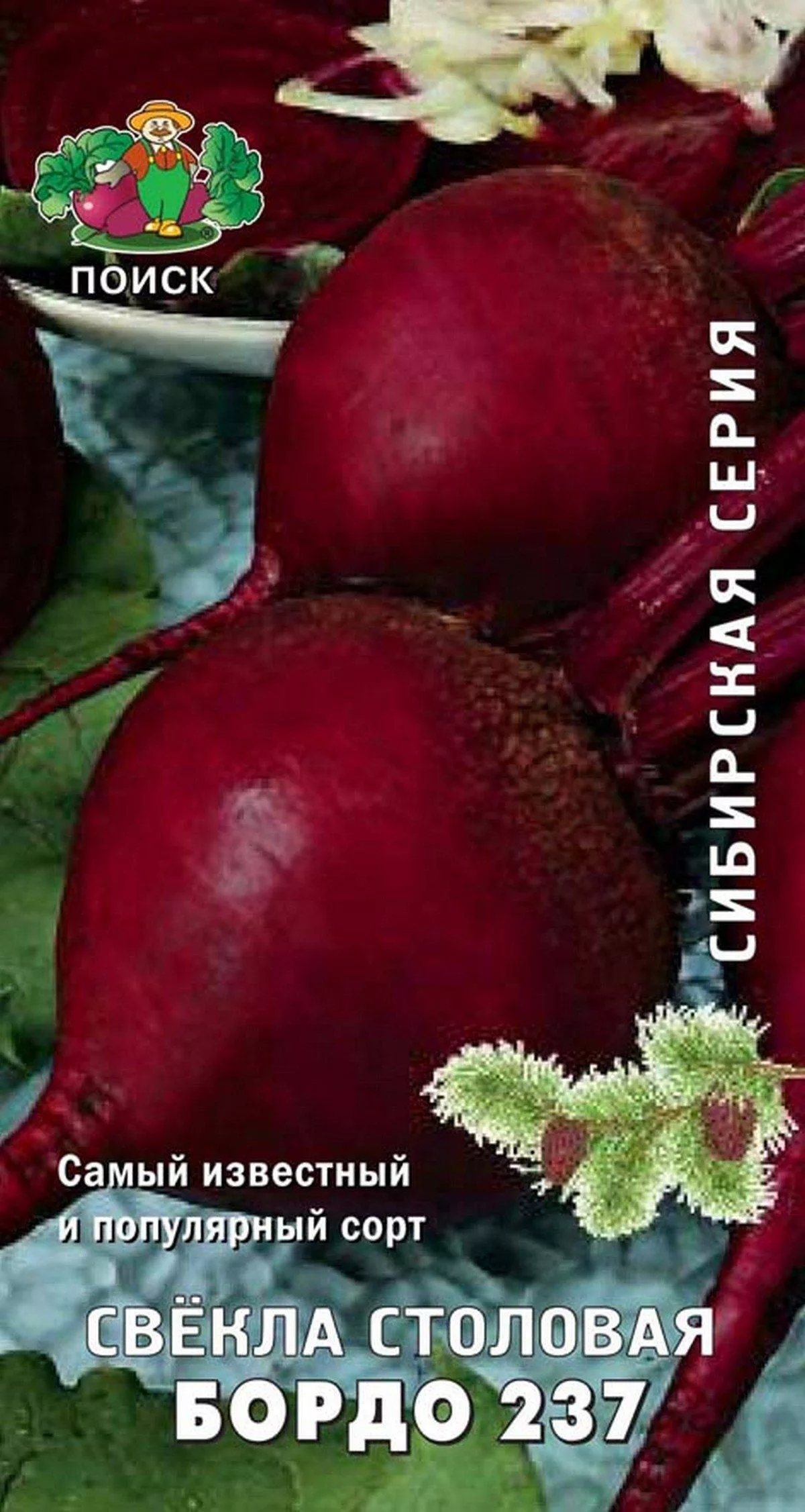 Семена свекла столовая Бордо 237 Сибирская сер 3г Поиск 