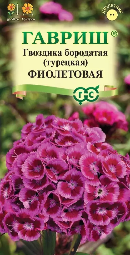 Семена Гвоздика бородатая турецкая Фиолетовая 0,1 г Гавриш 