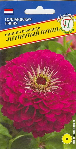 Семена цинния изящная Пурпурный принц,  Престиж 