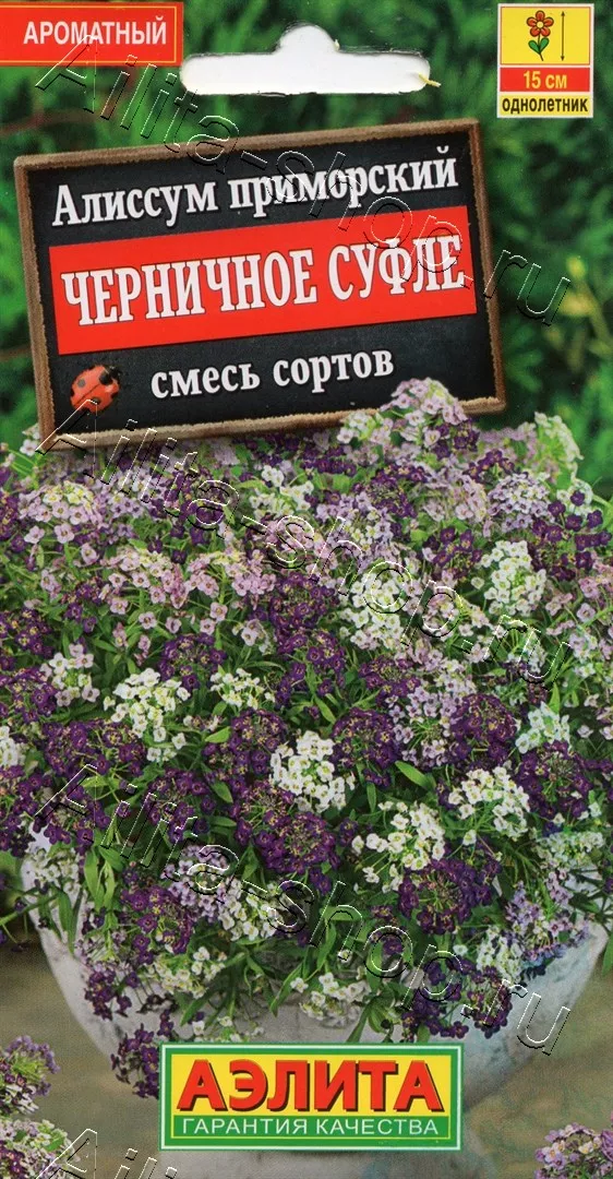 Семена Алиссум Черничное суфле, смесь сортов 0,05г Аэлита 