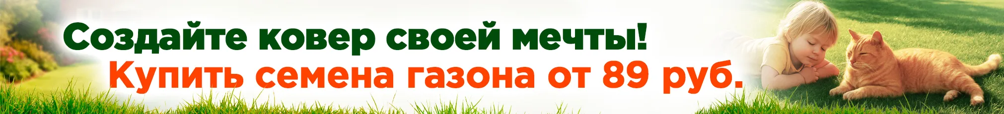 Газонная трава