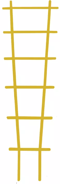 Опора Кострома Пластик Лесенка для растений пластик h-56см L-18см по цене 