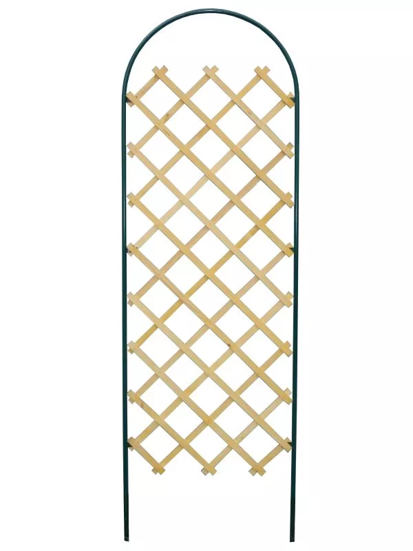 Основное изображение