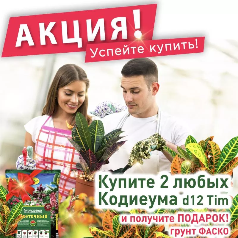 акция "Подарок при покупке 2х Кодиеумов"