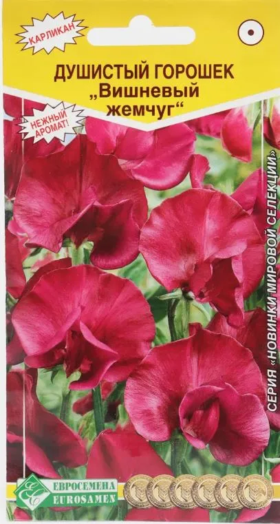 Семена Душистый Горошек карликовый вишневый жемчуг 10 шт. Евросемена 