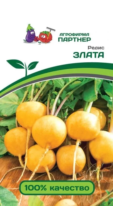 Семена Редис Злата 2 гр. Партнер 