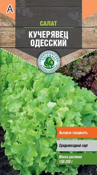 Семена Tim/салат Кучерявец Одесский п/коч поздний  0,5г 
