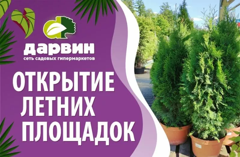 Открытие уличных площадок в ДАРВИН