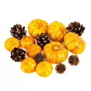 Набор ассорти тыкв и шишек оранжевый 2-6см по цене 