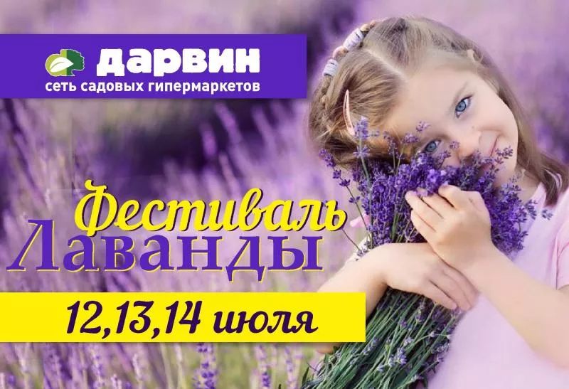 Приглашаем в ДАРВИН на Фестиваль Лаванды!