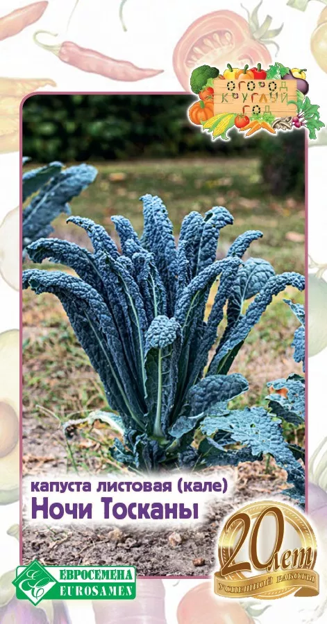 ОсновноеИзображение