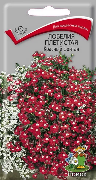 Семена лобелия плет.Красный фонтан 0,1г Поиск 