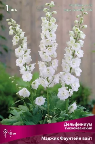 Корневище Дельфиниум тихоокеанский Мэджик Фаунтейн вайт 1 шт Поиск 