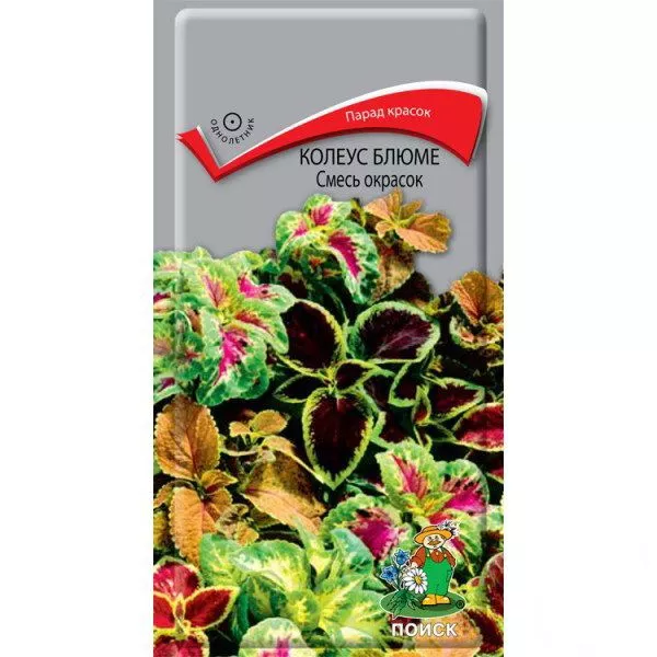 Основное изображение