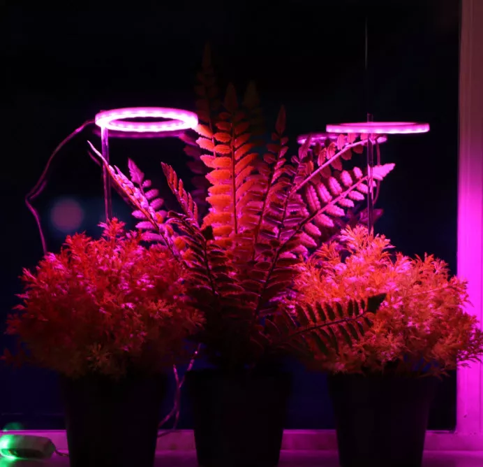 Фитосветильник для растений, светодиодный, 4 Вт, 170 мм, IP20, 5 В, USB, в горшок, 2 круга, мультисп по цене 