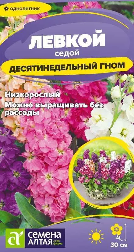Семена Левкой Десятинедельный гном седой 0,05 гр.Семена  Алтая 