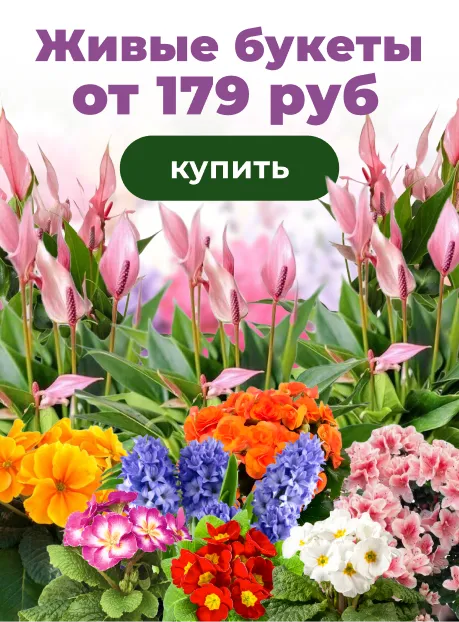 Живые букеты от 179 руб!