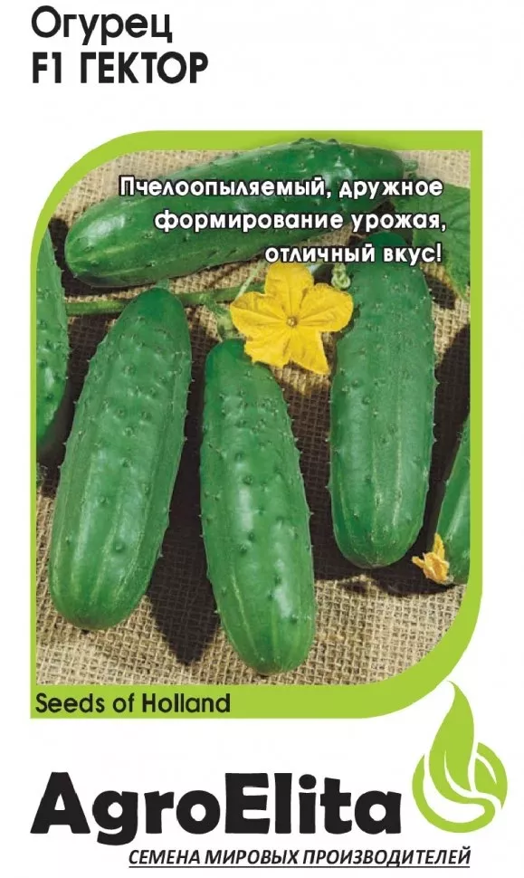 Семена Огурец пчёлоопыляемый  Гектор F1 10 шт.Гавриш 