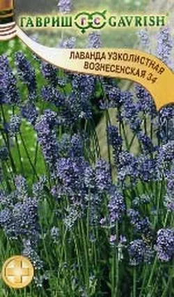 Семена лаванда Вознесенская 34 узколистная 0,05г Гавриш 